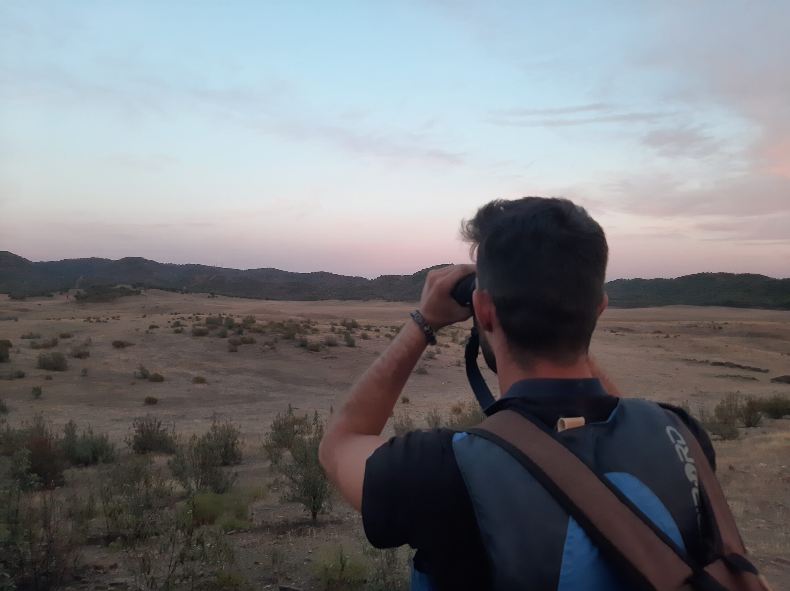 Berrea en Córdoba